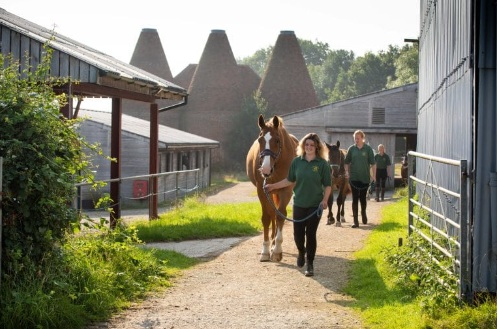 Bank Farm Stables
