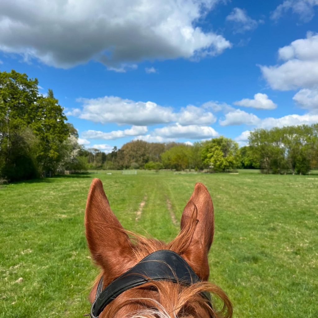 Hunting Livery Available – Limited Spaces