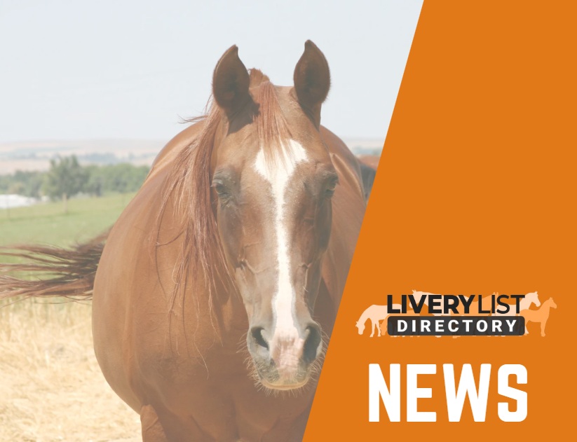 Horse Owners Invited to #FeelForFat with New Resources