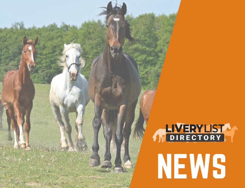 Westgate Launch New Line of Defence Against Resurgence of Large Redworm in Horses