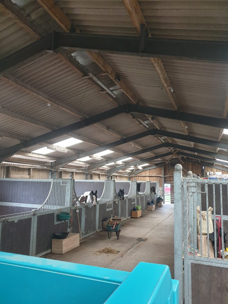 Bowland Equine Therapy