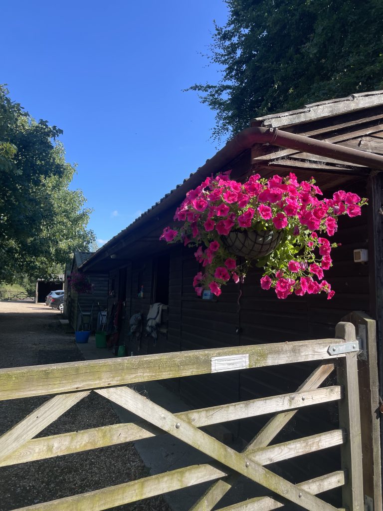 Luckington Livery Stables