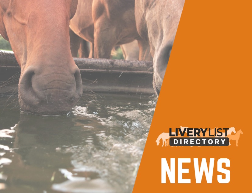 Hosepipe Bans in the UK and Animal‑Welfare Exceptions