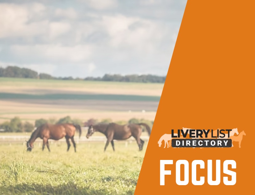 Healthy Pastures, Healthy Horses: How to Boost Grazing and Soil Quality on Your Yard