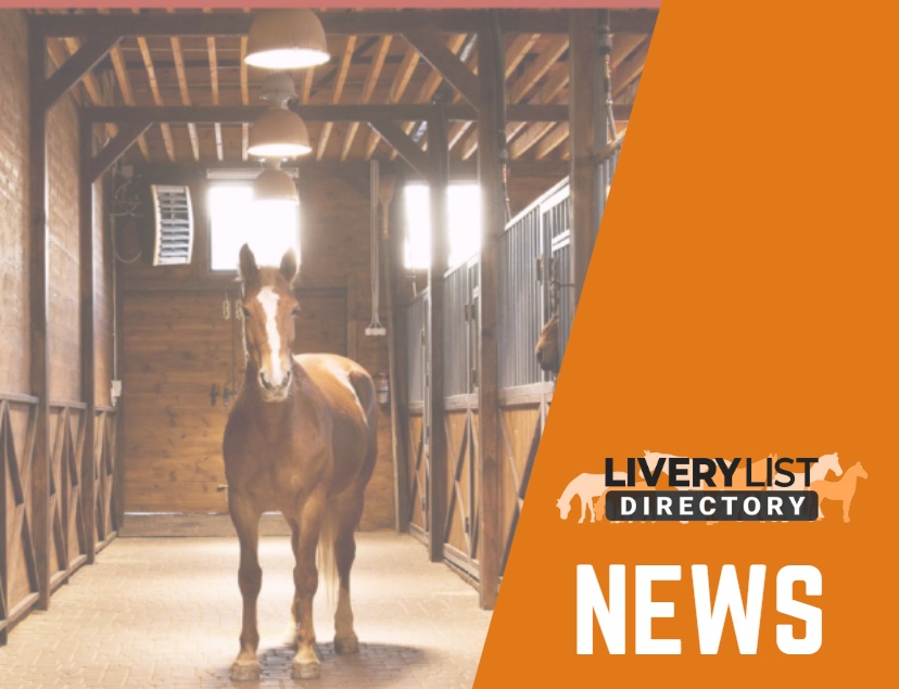 New Study Launched in to the Lighting of Yards