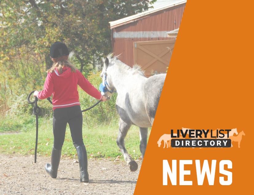 Reporting Unlicensed Riding Schools or Riding Activities