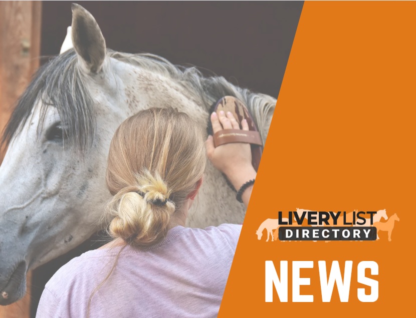 New Research Highlights the Role of Personality in Equine Wellbeing