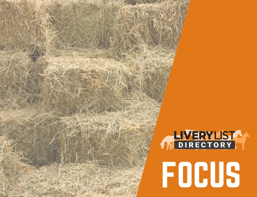 Feeding Horses in Challenging Times: Large Bales vs. Small Bales