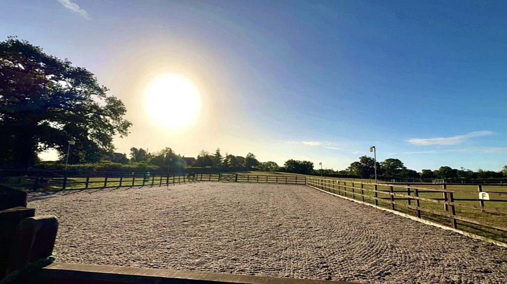 Sophie McCracken Equestrian