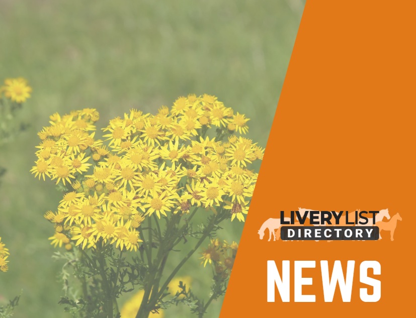 Concerns Raised Over Changes to Ragwort Complaint Process