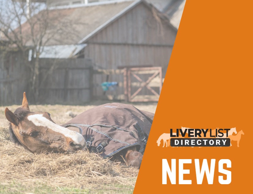 New Weather Alert System to Help Tackle Equine Grass Sickness