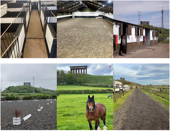 Penshaw Equestrian Centre