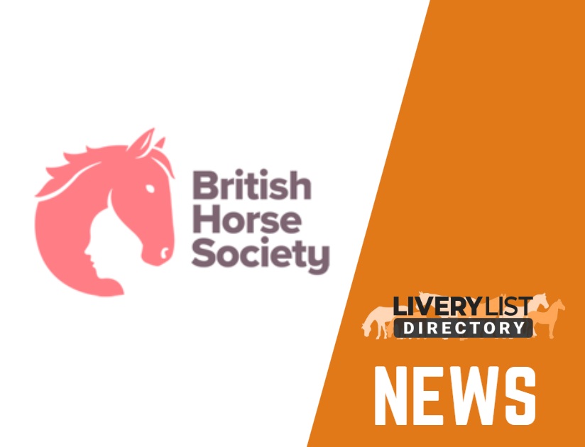 The British Horse Society Unveils New Logo to Reflect Unity and Purpose