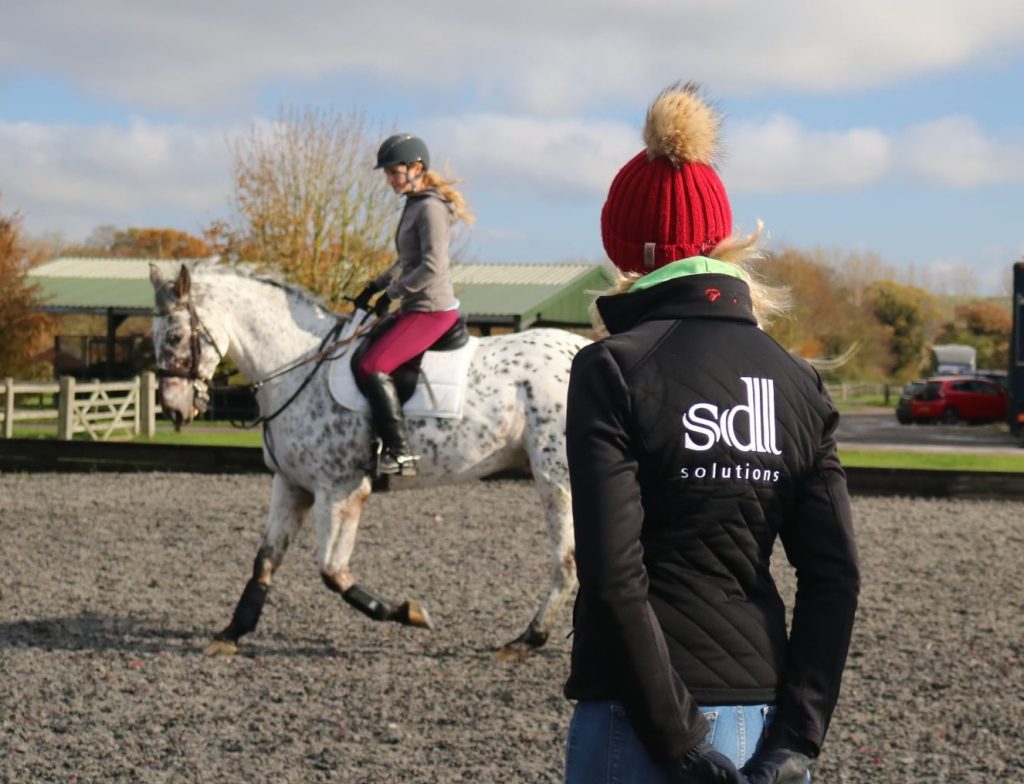 Lucinda Fredericks Equestrian