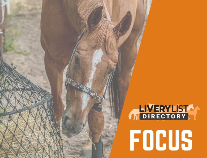 Coping with Hay and Straw Shortages for UK Livery Yard Owners and Horse Owners