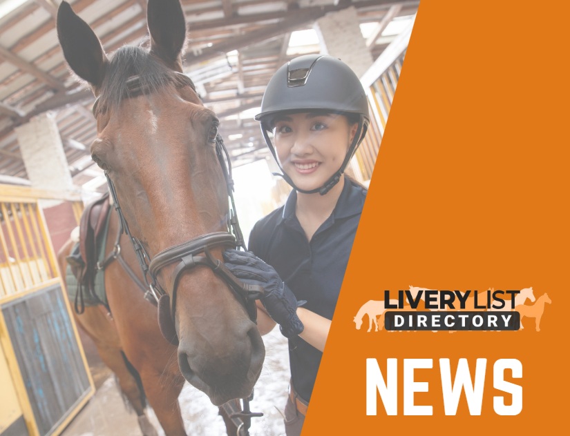 New Helmet Initiative Aims to Protect Equine Professionals