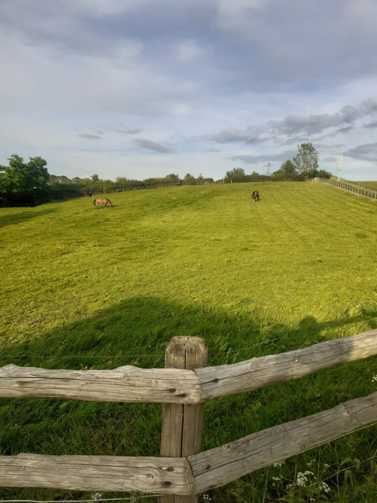 Isca Livery Stables Ltd