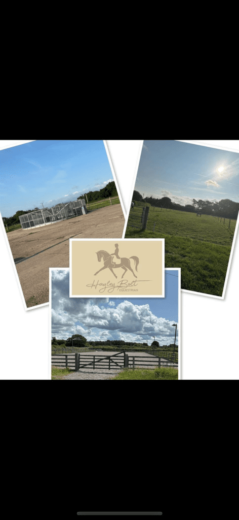 Hayley Bolt Equestrian