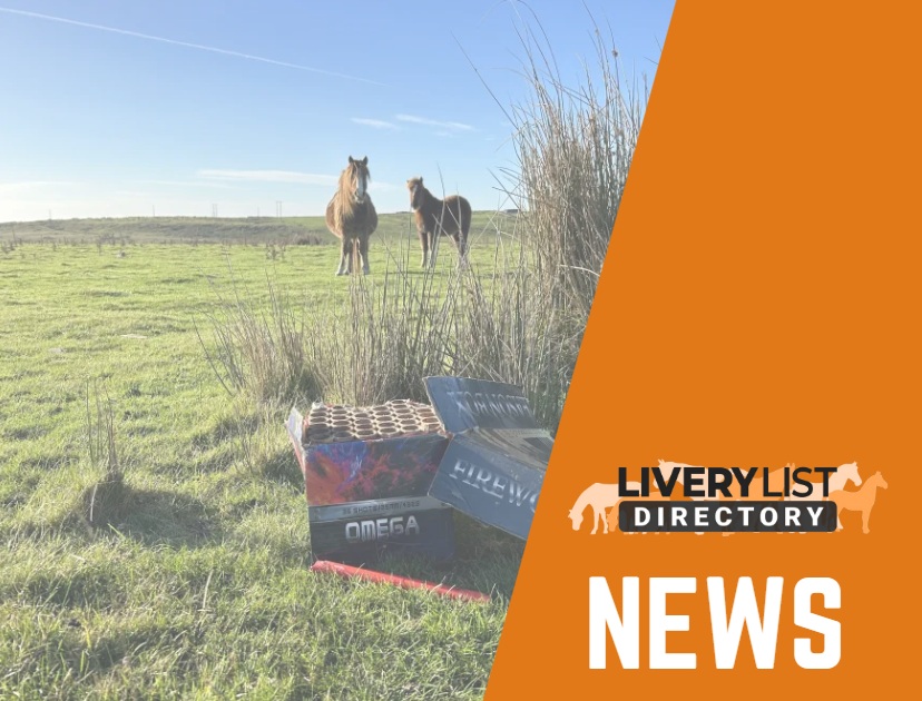 Growing Pressure for Firework Reform as Campaigns Gain Momentum