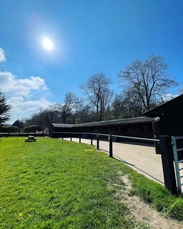 Holt Farm Equestrian