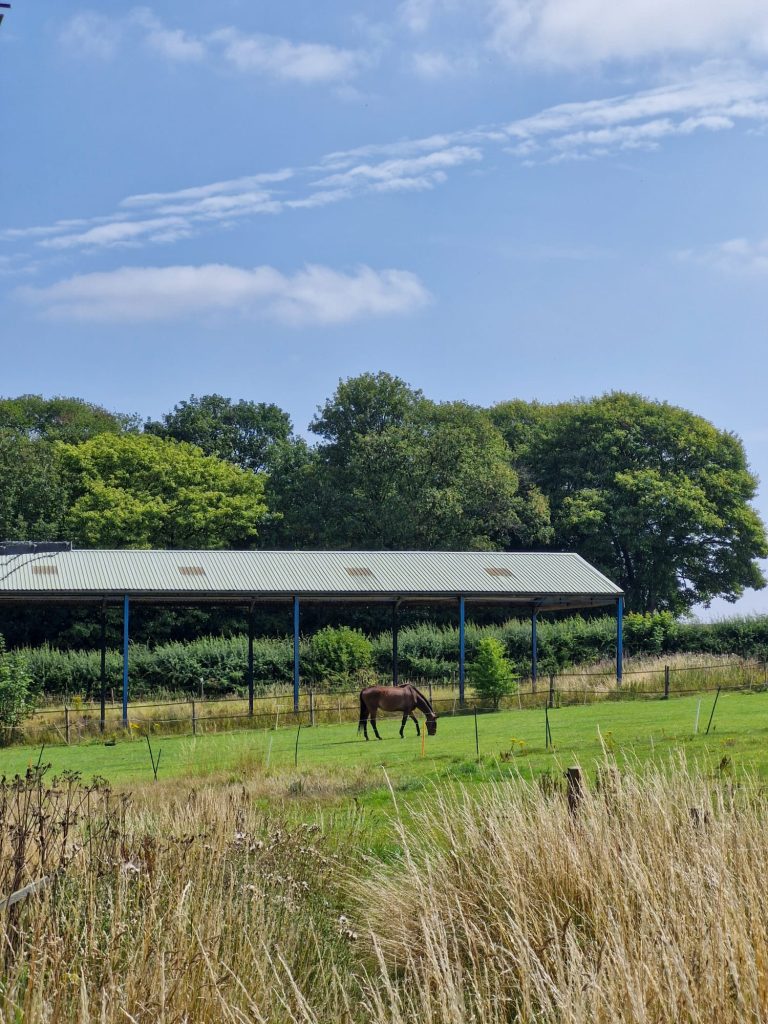 Felicitys Livery, Huggate