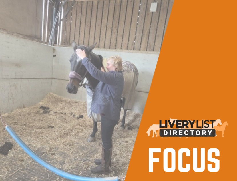 The Role of Equine Reiki in Supporting Horse Welfare and Yard Management