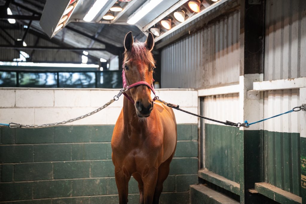 Easton Farm Livery