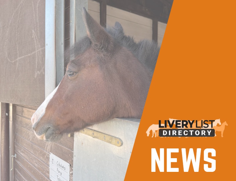 Survey Reveals Horse Owners Can Do Little To Protect Horses From Fireworks