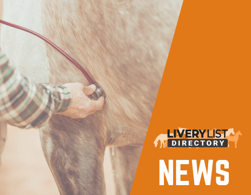 Industry Review Signals Possible Reforms for Equine Practices