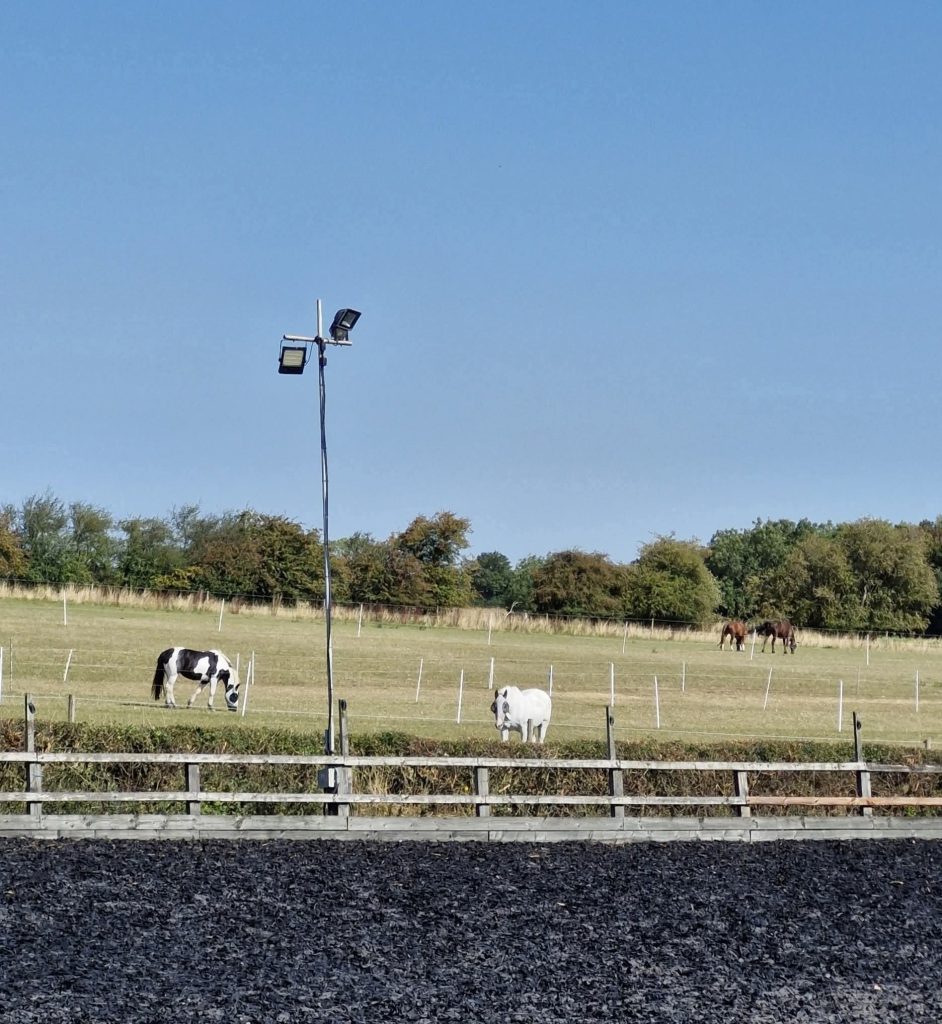 Lodge Farm Livery Yard