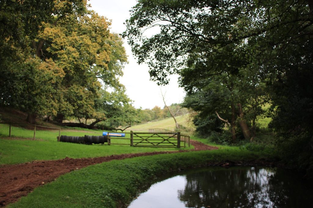 HRM Equestrian Schooling & Sales Livery