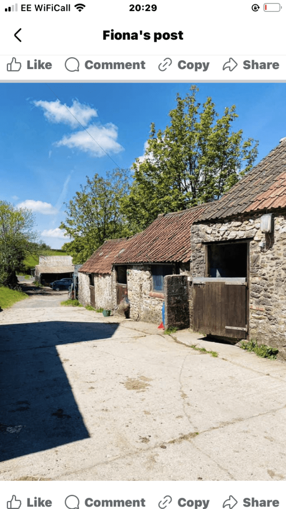 Mendip Livery – Middle Ellick Farm