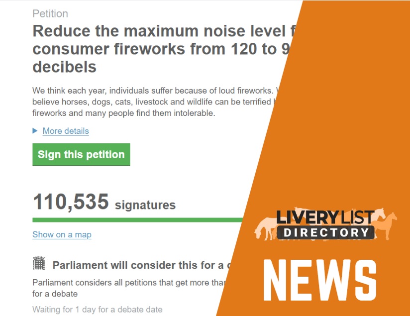 Fireworks to be Debated After Redwings Petition Reaches Over 100,000 Signatures