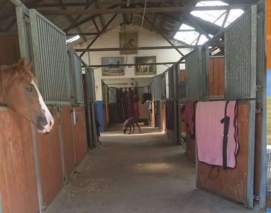 Earlsway Farm Livery Centre