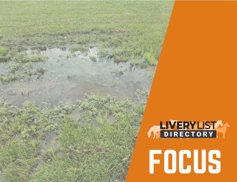 Preparing Your Land for Flooding and Winter Grazing Challenges