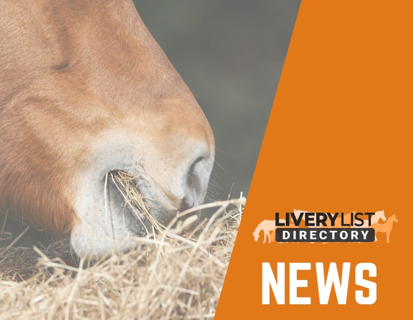 Charities and Horse Owners Launching Urgent Appeals Due to Hay Shortages