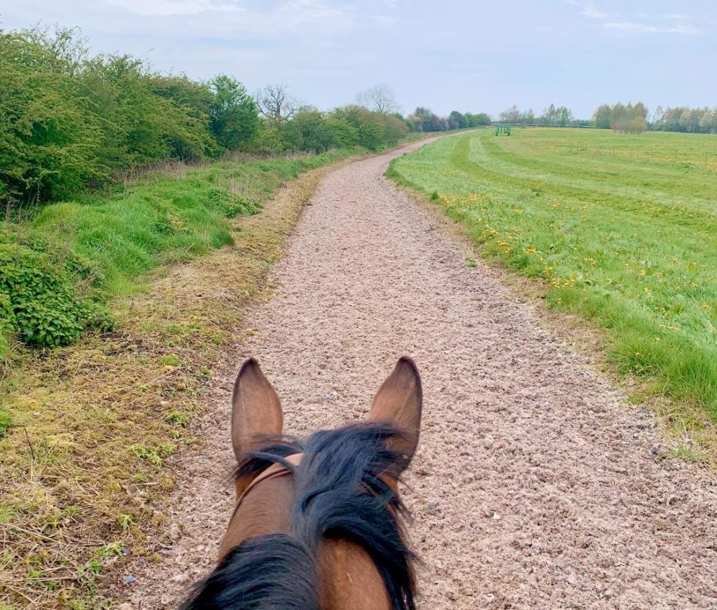 Calke Abbey Racing Stables