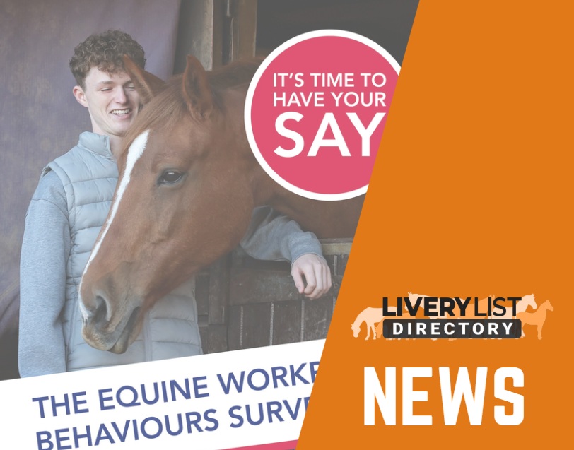 British Equestrian Launches Equestrian Workplace Behaviours Survey