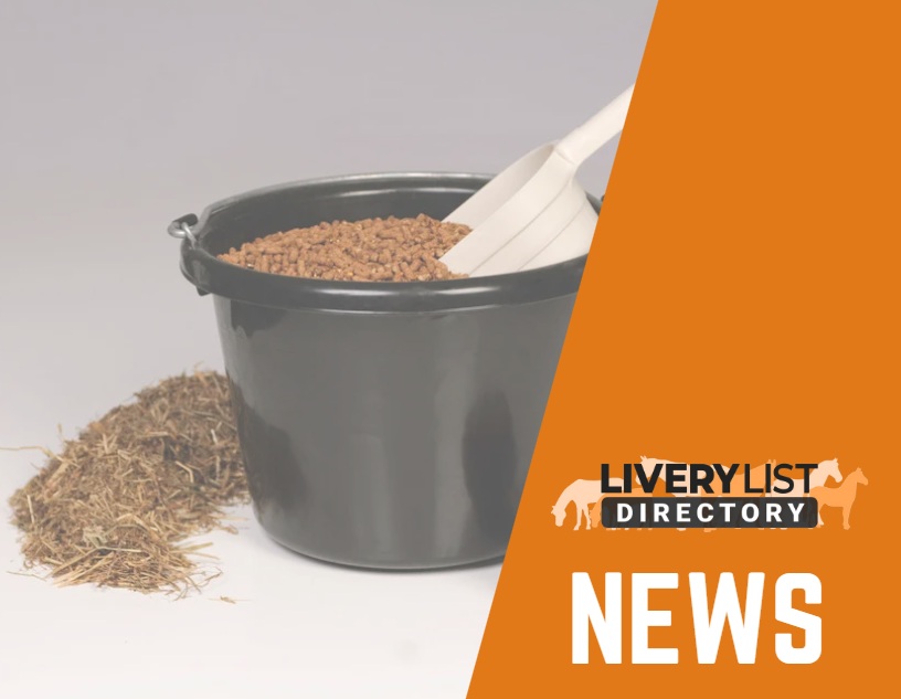 How the Introduction of ENFAR Supports Equine Welfare and Professional Standards