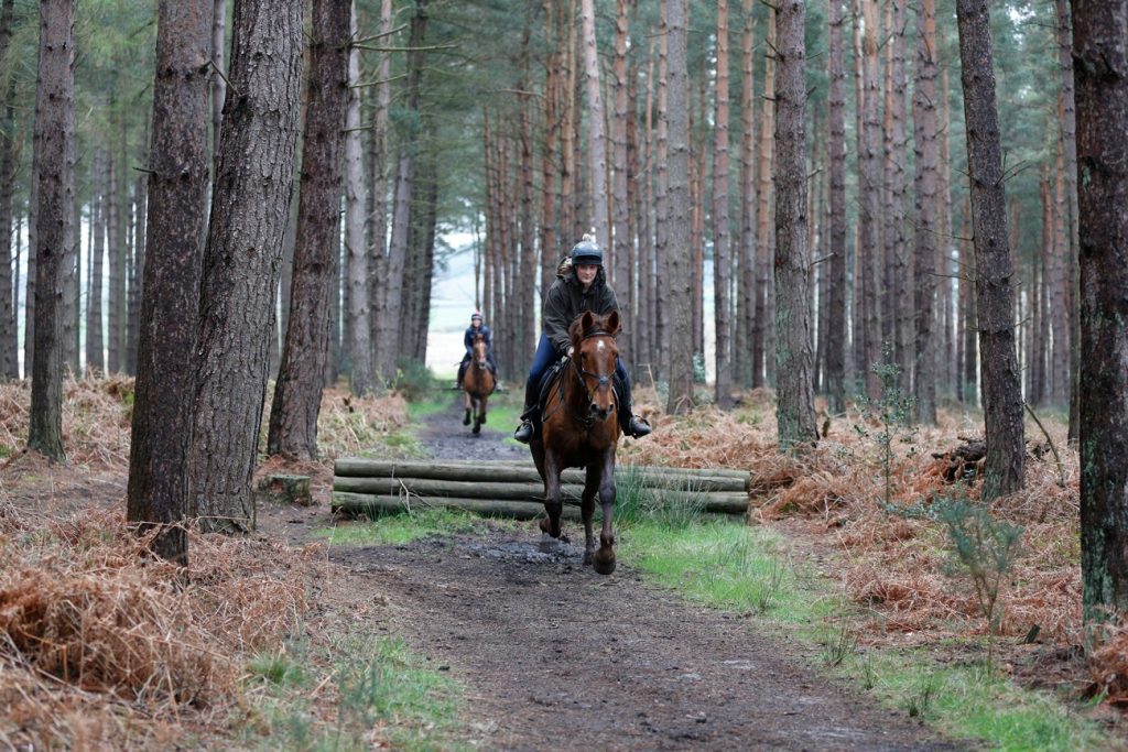 High Plains Equestrian Centre