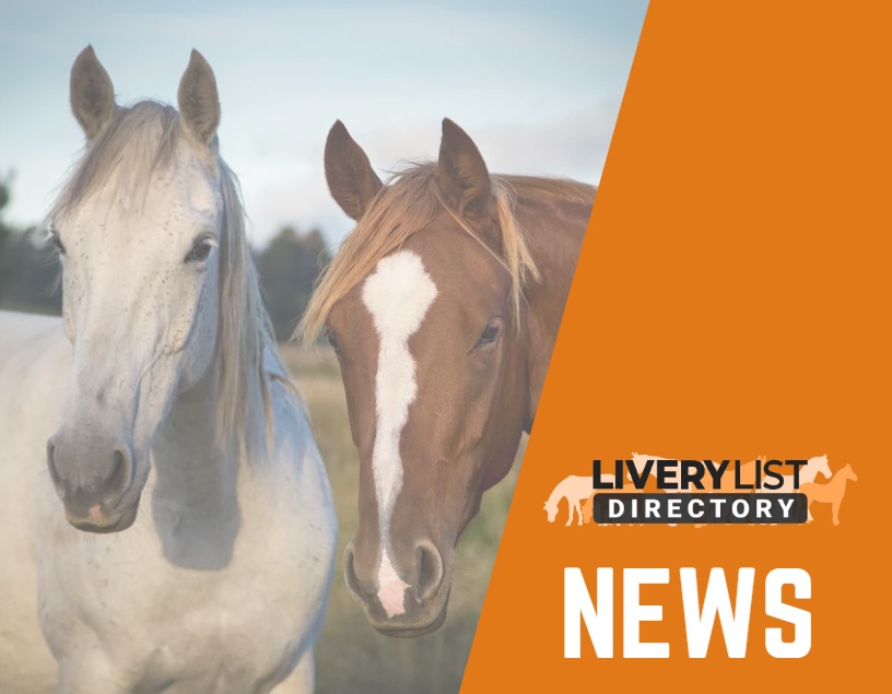UK Government’s New Animal Welfare Strategy: What It Means for the Equestrian World