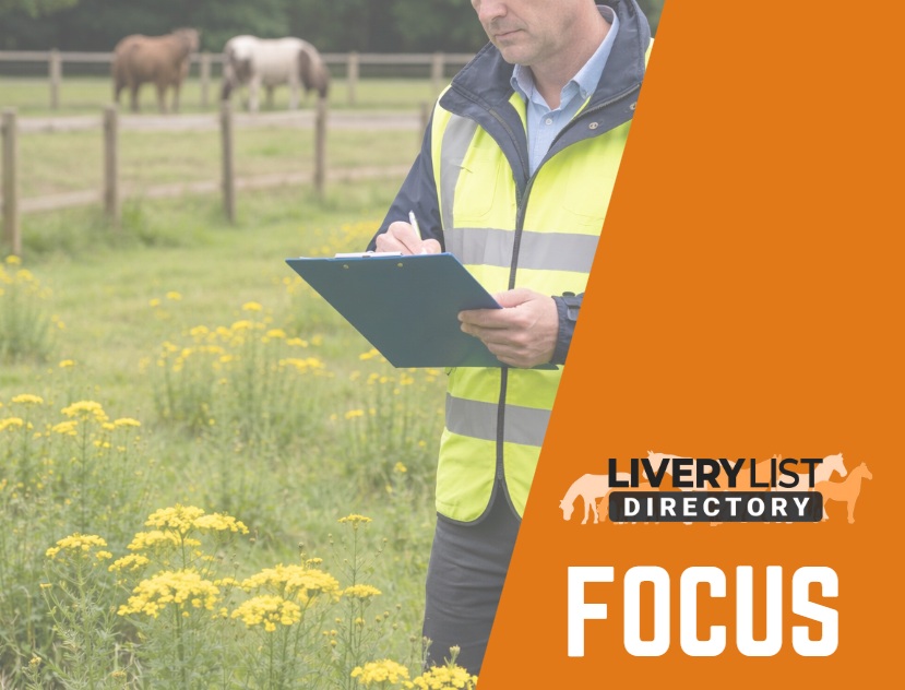 Ragwort Reporting and Control in the UK: A Clear Guide