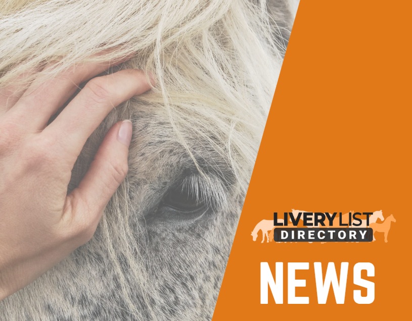 New Mental Health Toolkit Launches for the Equestrian Community