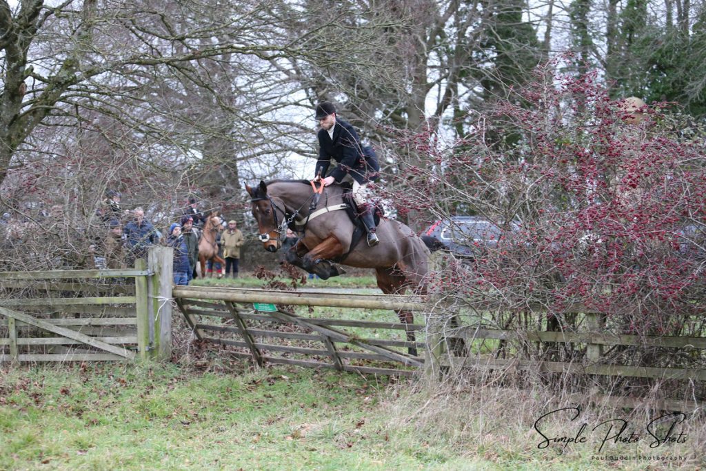 JSRacing | Training & Livery stables