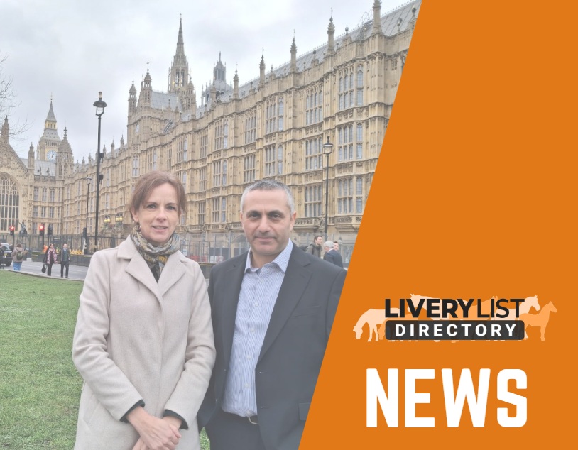 Public Power Brings Fireworks and Animal Welfare Concerns to Parliament