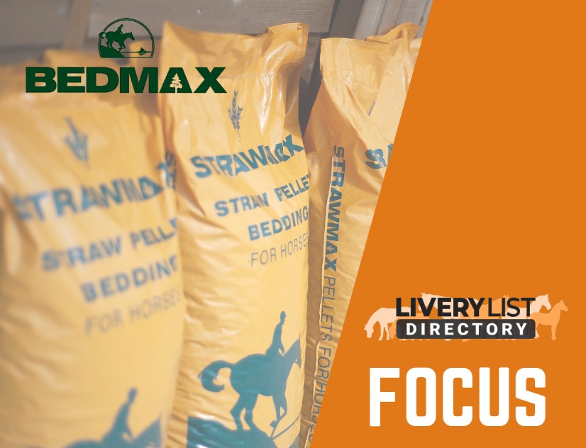 Cutting the Cost of Bedding at Livery – Without Compromising Your Horse’s Health