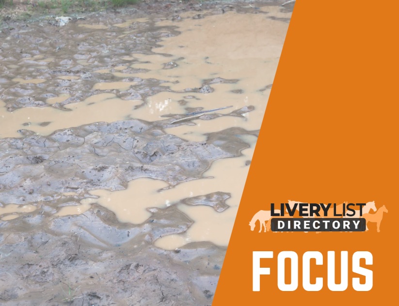 When the Rain Hasn’t Stopped, Managing Parasites After a Waterlogged Winter