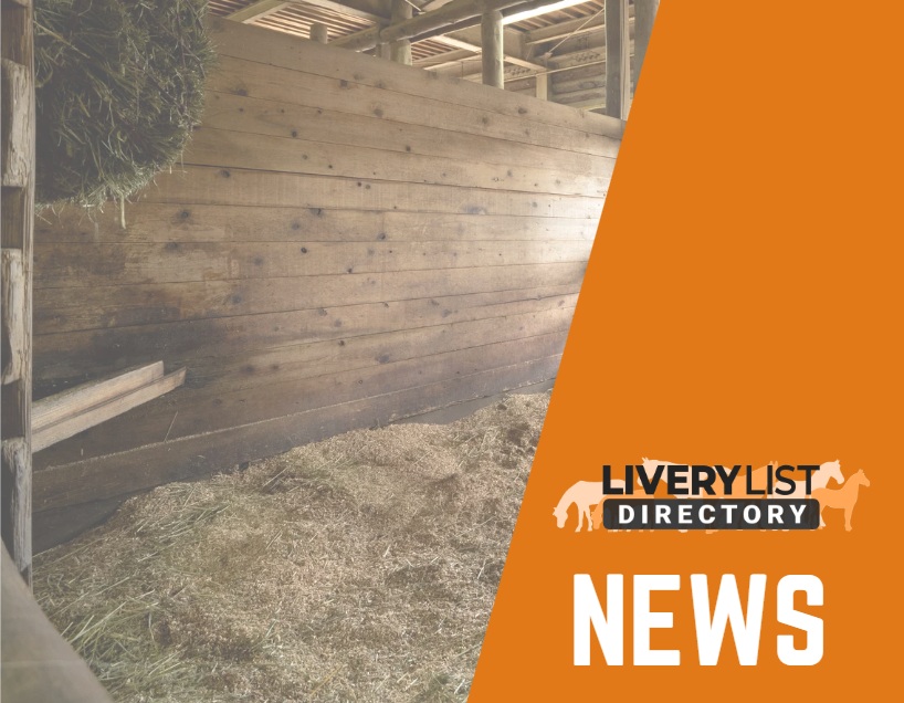 New Bedmax Survey Reveals How Bedding Choices Impact Equine Health