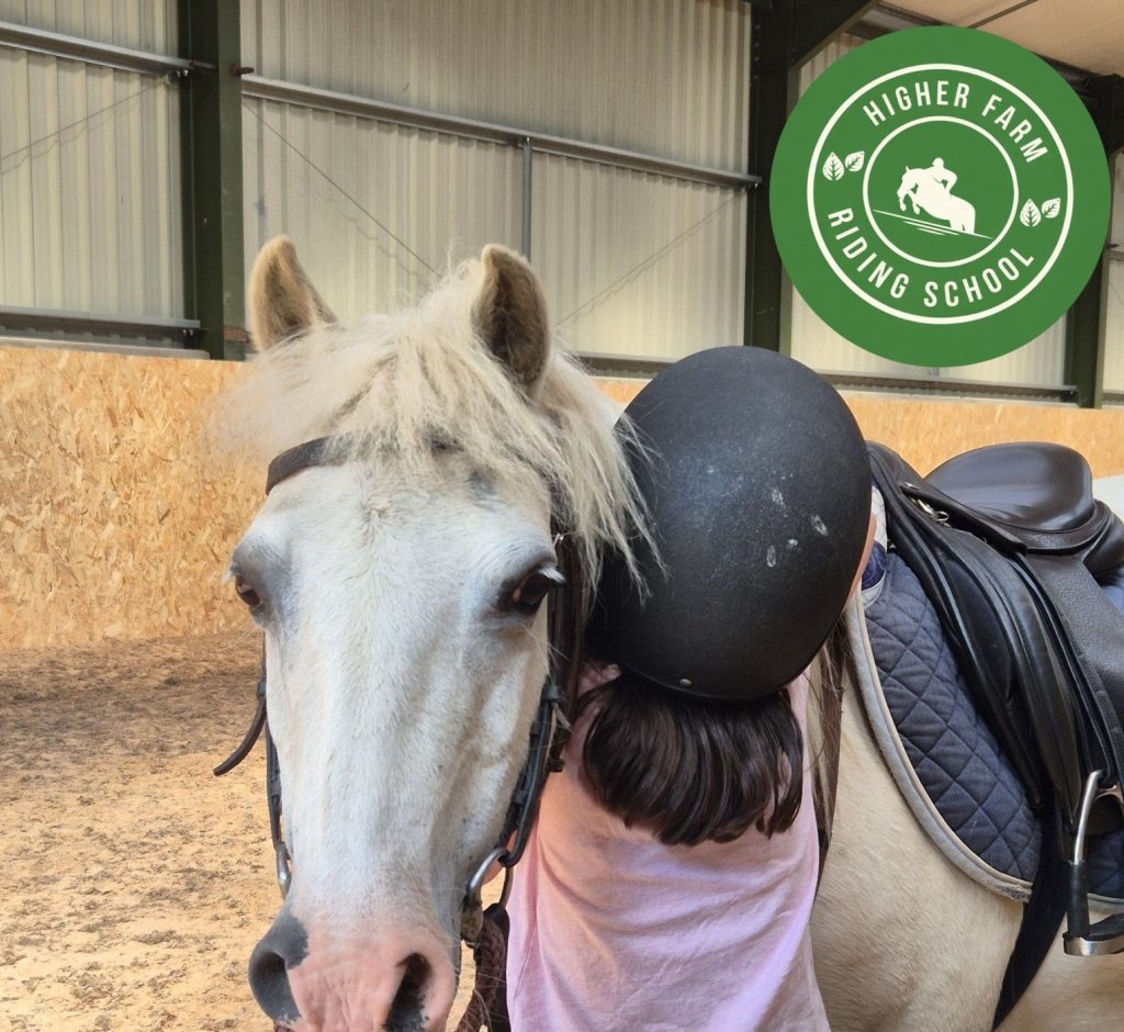 Higher Farm Riding School
