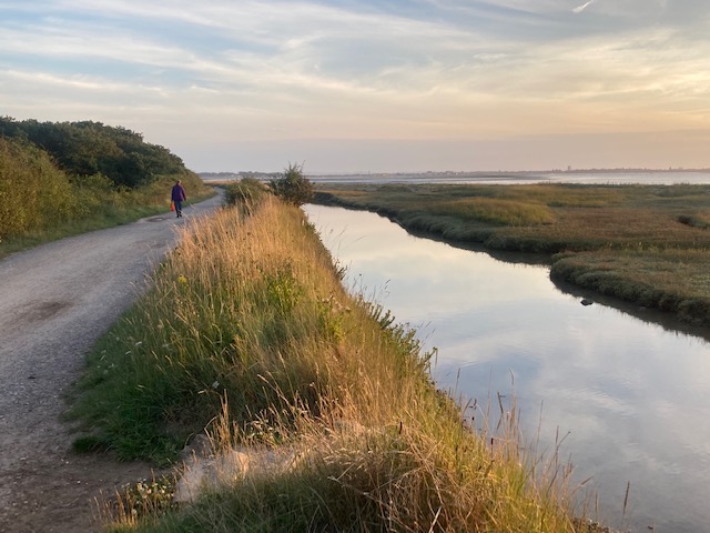 DIY Natural/Track Livery North Hayling